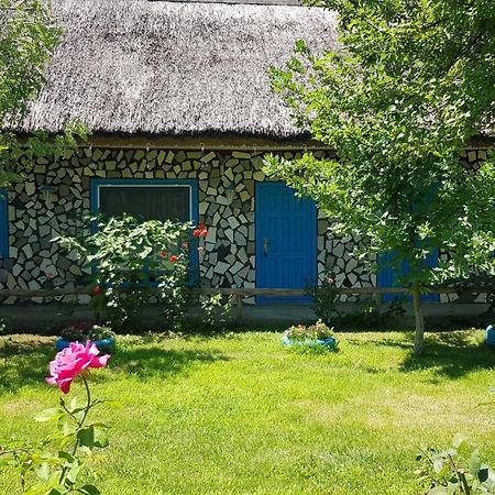 Pensiunea Iubire de Delta  La Traian Murighiol Esterno foto
